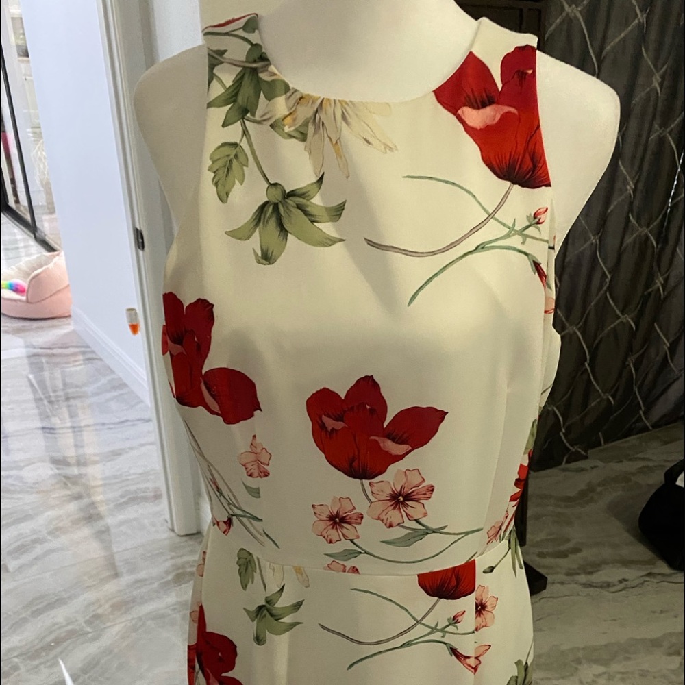 Dress cocktail